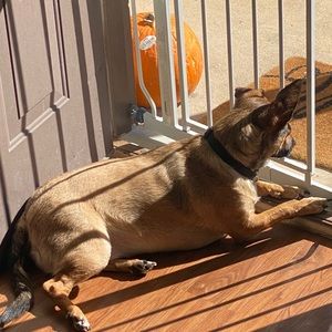 Meet your Posher, Justin